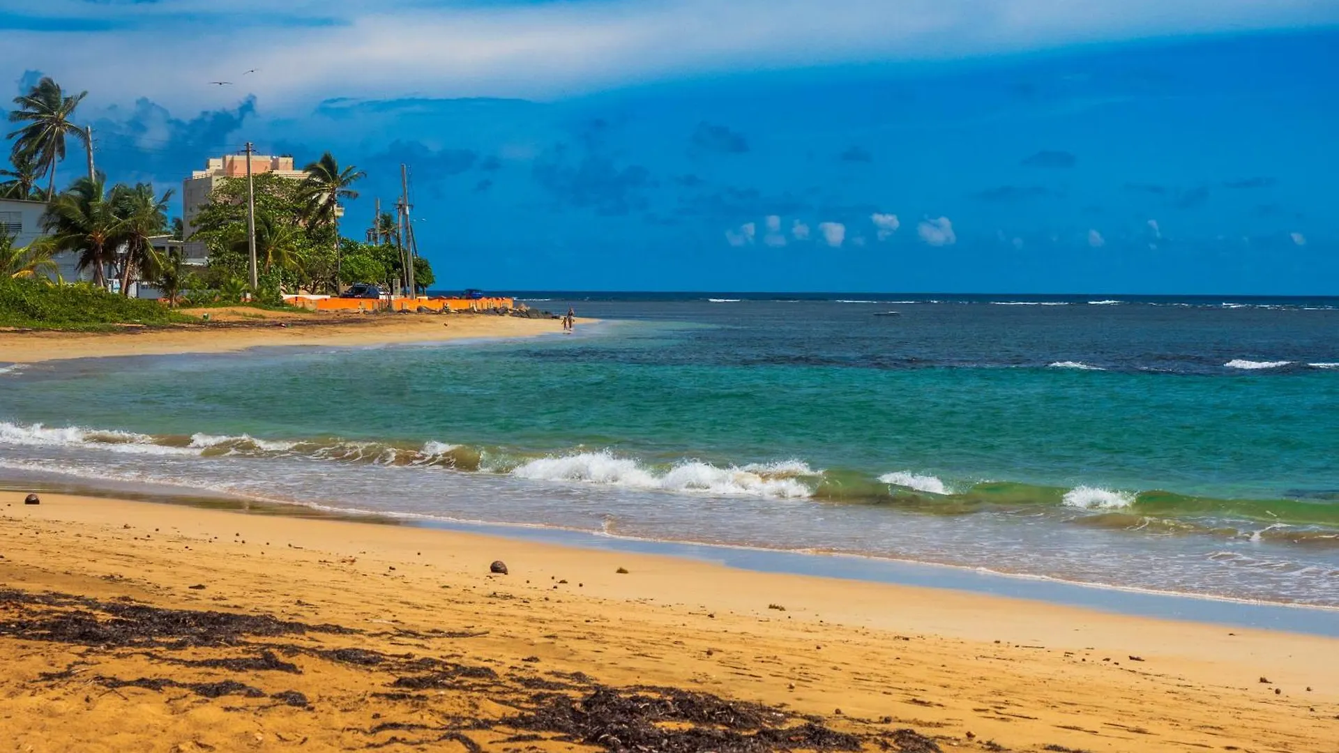 Olas Del Mar Beach Apartment Luquillo